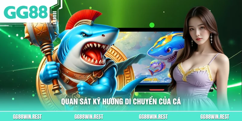 Quan sát kỹ hướng di chuyển của cá